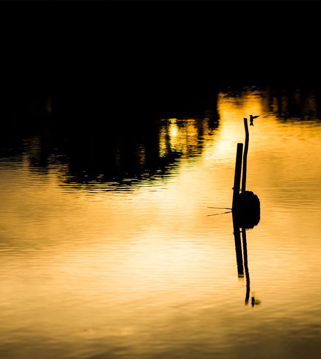 Alberto Alcocer | María Alcocer Blog · María Alcocer